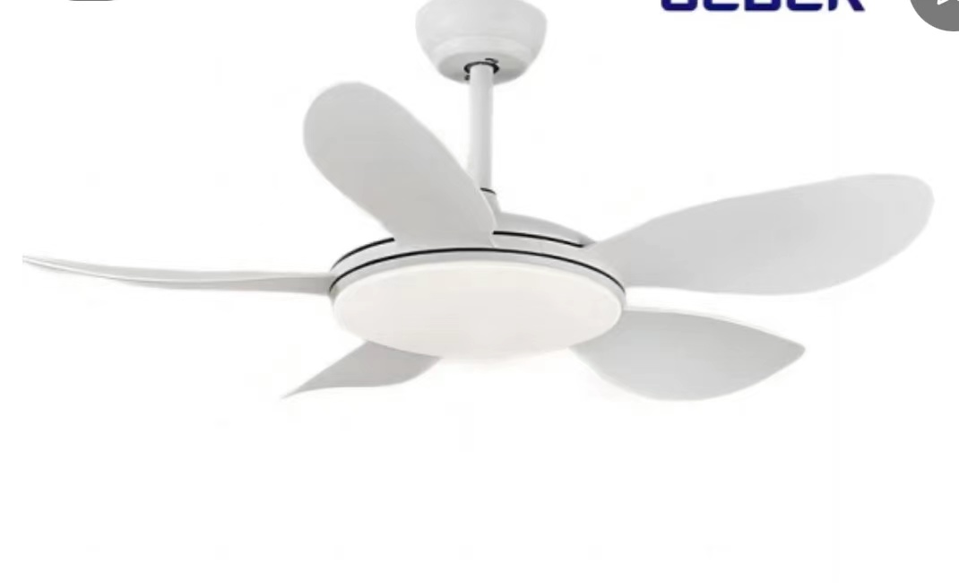 Fan lights